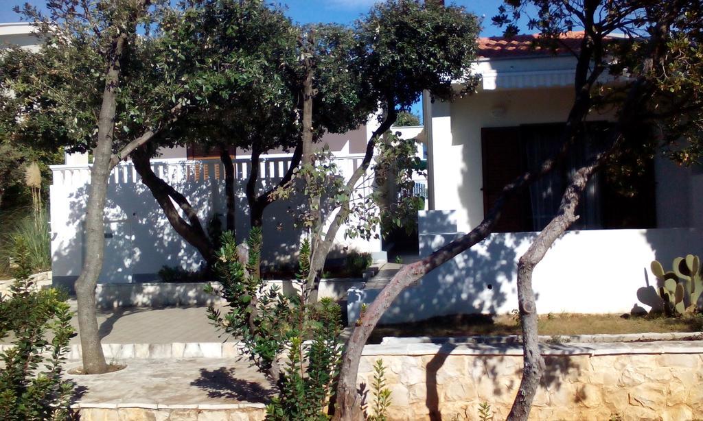 Apartment Basic بيتريتْشاني المظهر الخارجي الصورة